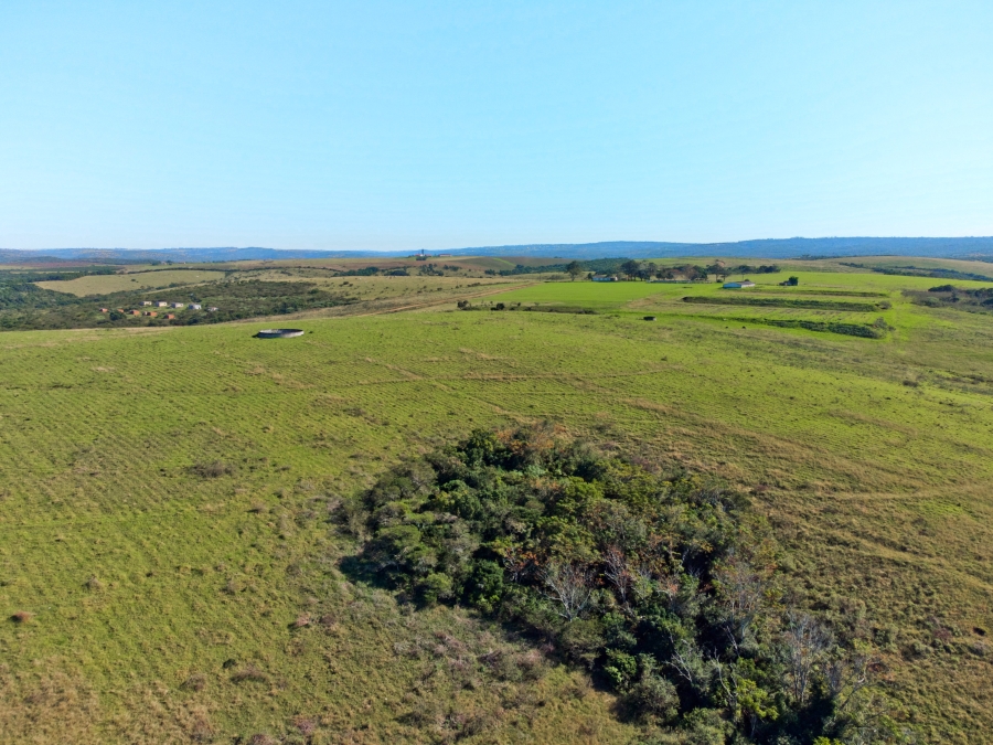 5 Bedroom Property for Sale in East London Rural Eastern Cape